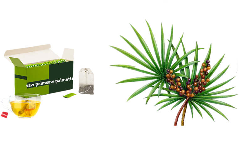 Saw Palmetto Tea Saw Palmetto Tea