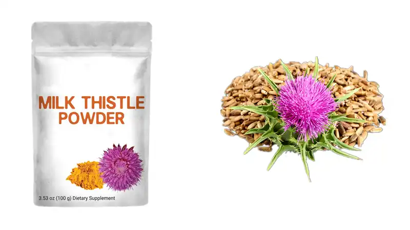 Milk Thistle Extract Milk Thistle Extract