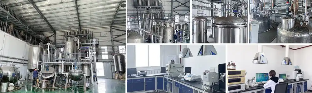 Epimedium extract Epimedium extract