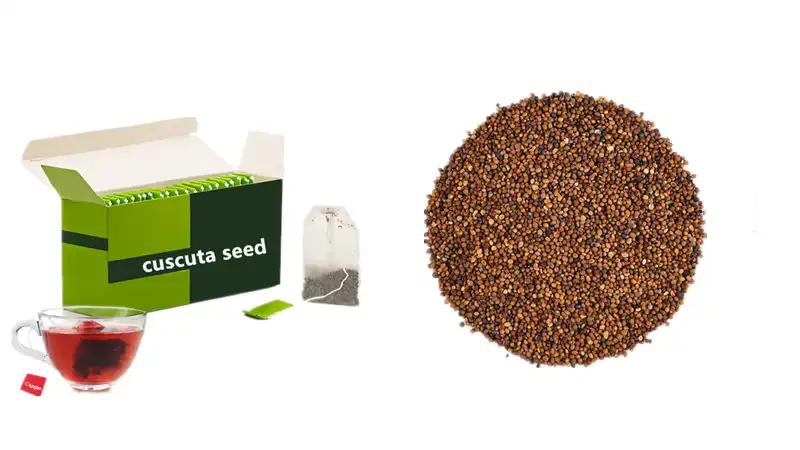 Cuscuta seed tea Cuscuta seed tea