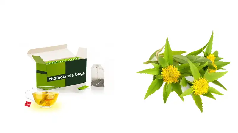 Rhodiola root tea Rhodiola root tea