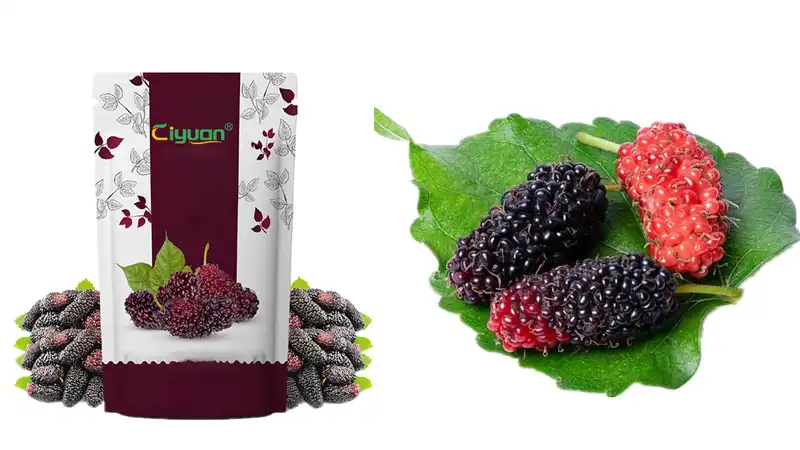 Mulberry Powder  Mulberry Powder