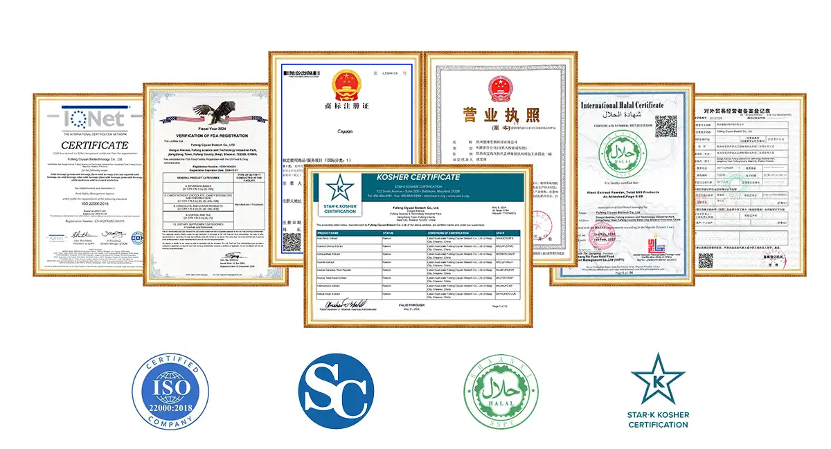 Turkey Tail extract powder Turkey Tail extract powder