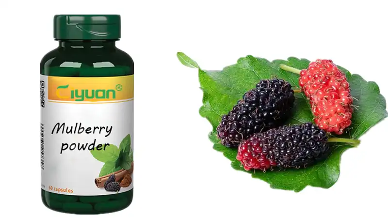 Mulberry powder capsules Mulberry powder capsules