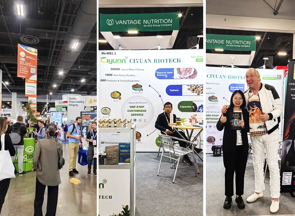 Mulberry powder tablets  Mulberry powder tablets