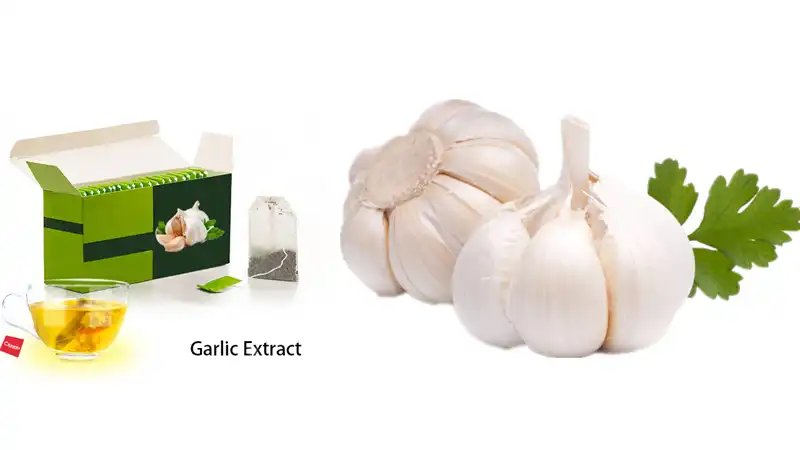 fresh garlic tea  fresh garlic tea