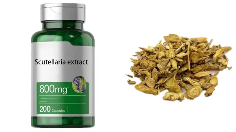 Scutellaria capsules Scutellaria capsules