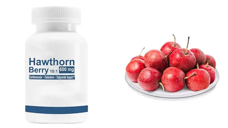 Hawthorn extract capsules Hawthorn extract capsules
