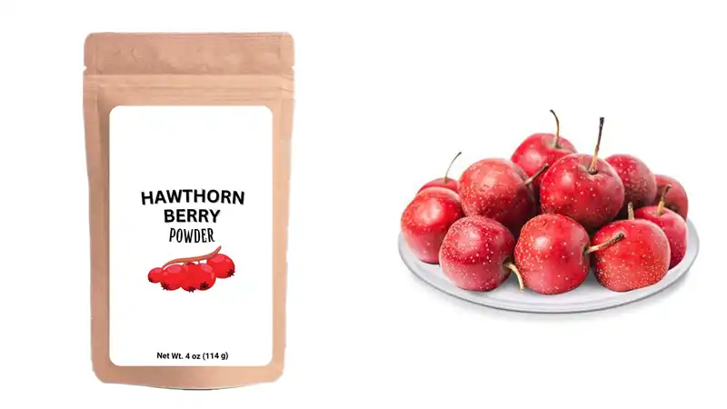 Pure Hawthorn Extract  Pure Hawthorn Extract