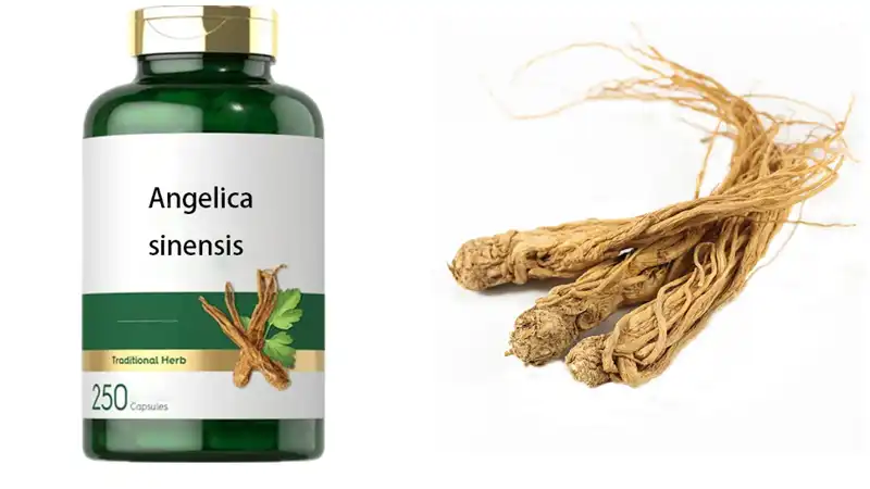 Angelica Extract Tablets Angelica Extract Tablets