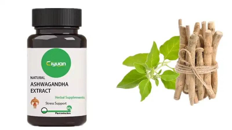 ashwagandha root powder pills  ashwagandha root powder pills