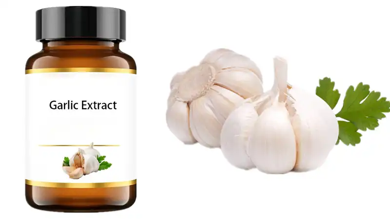 Garlic extract powder Garlic extract powder