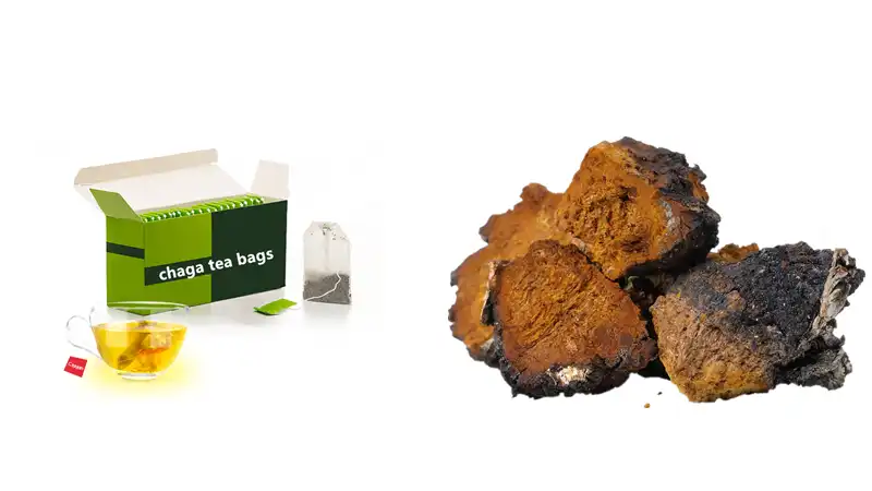 Chaga mushroom tea Chaga mushroom tea