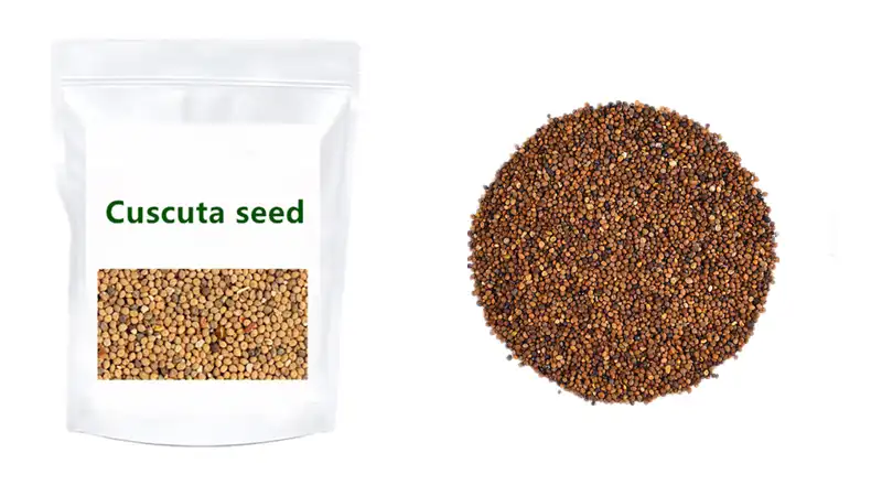 Cuscuta seed pills Cuscuta seed pills