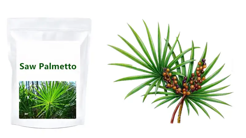Saw palmetto tablets Saw palmetto tablets