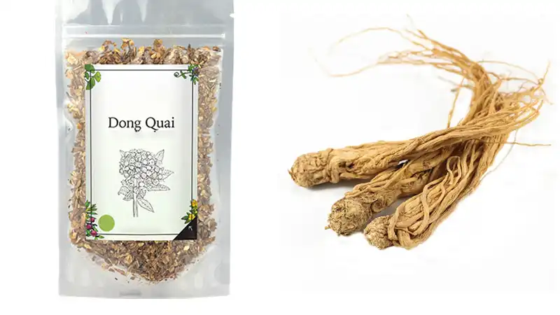 Chinese Angelica Powder Chinese Angelica Powder