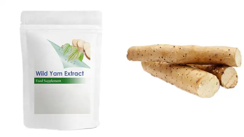 Wild Yam Extract Powder Wild Yam Extract Powder