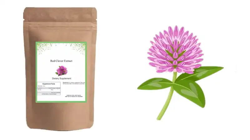 Red clover blossom capsules  Red clover blossom capsules