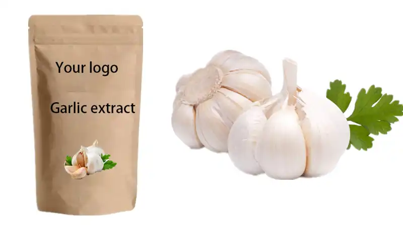Garlic extract powder Garlic extract powder
