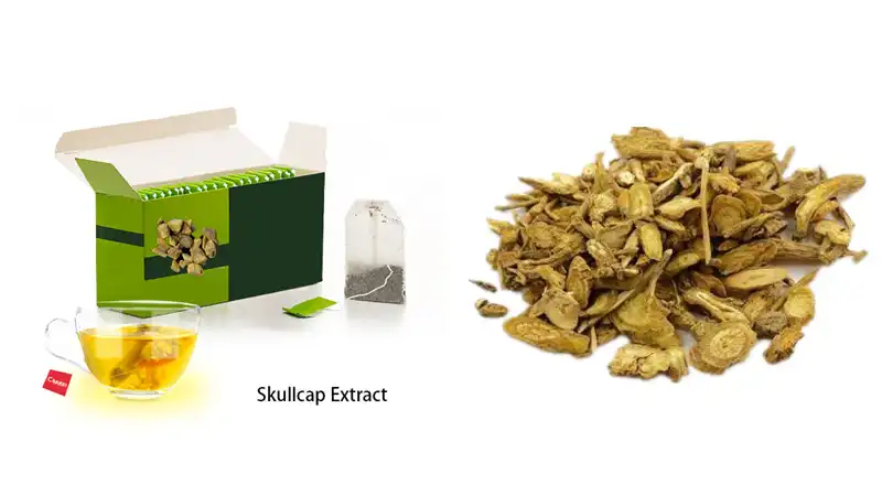 Scutellaria baicalensis extract powder Scutellaria baicalensis extract powder