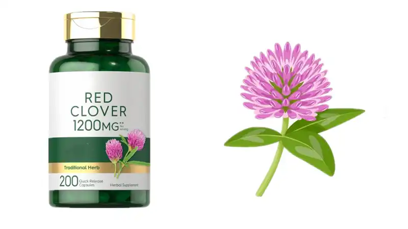  best red clover extract