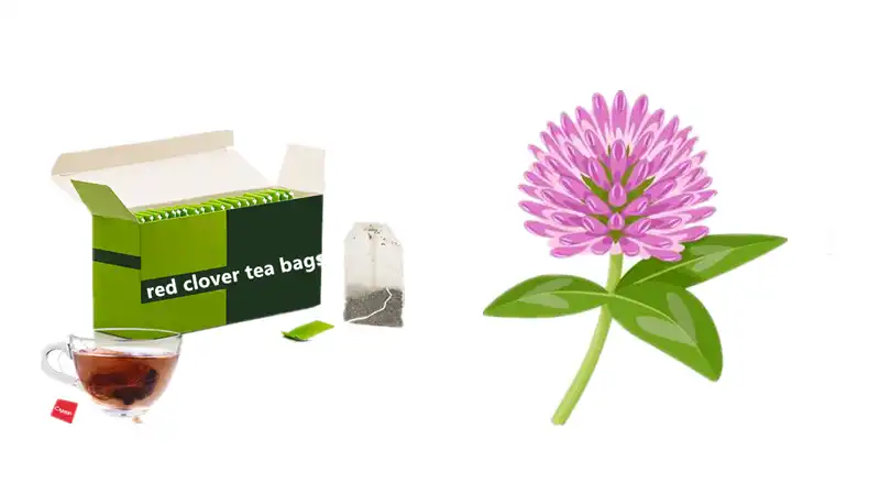  best red clover extract