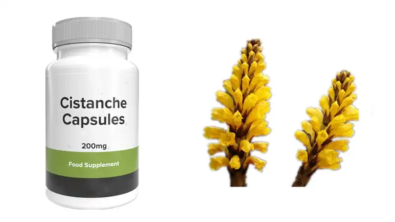 Cistanche root supplement