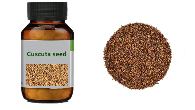 Cuscuta seed capsules
