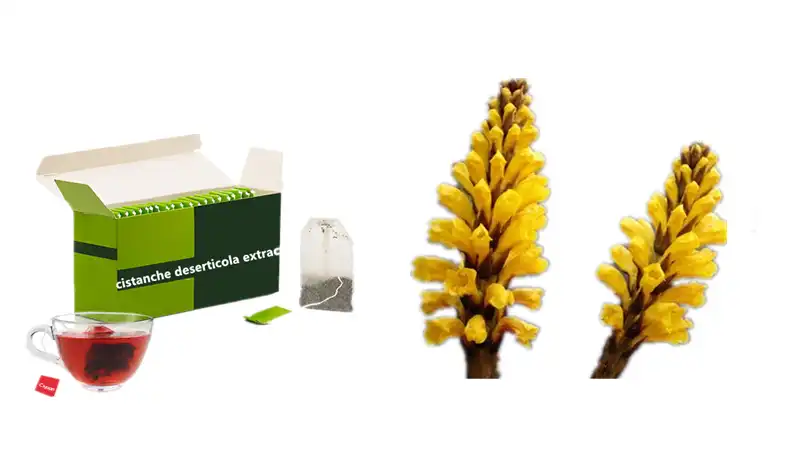 Cistanche tubulosa capsules