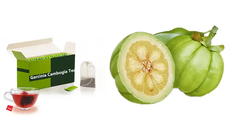 Garcinia Cambogia Tea Bags Garcinia Cambogia Tea Bags