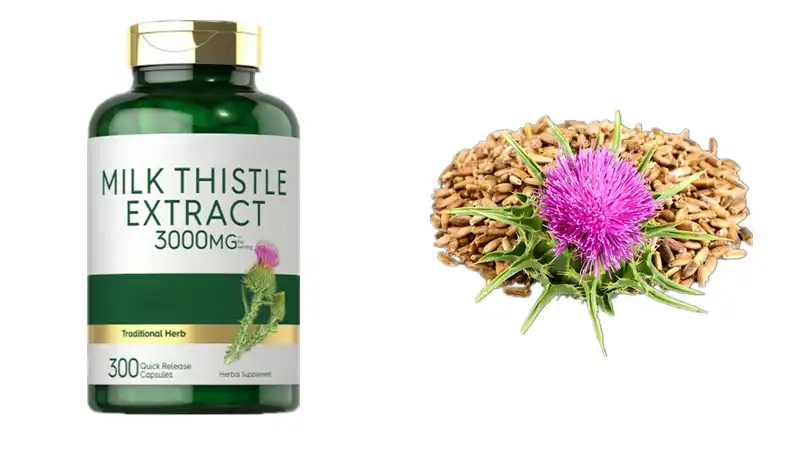 pure milk thistle supplement