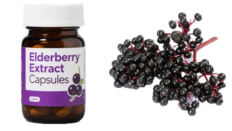 Elderberry Extract Tablets Elderberry Extract Tablets