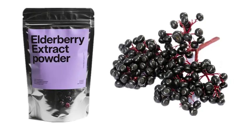 Elderberry Extract Supplement