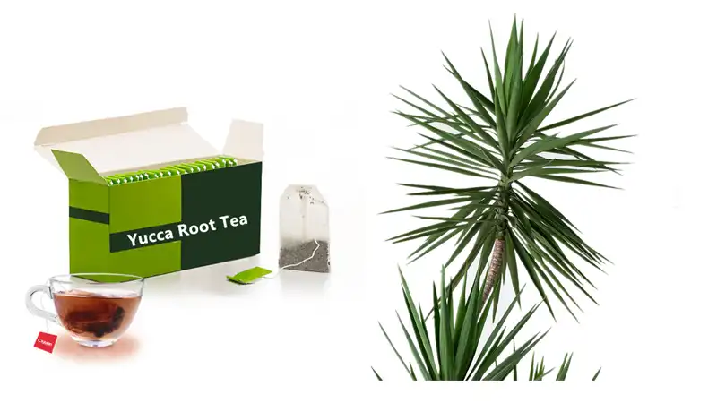 Yucca Root Tea