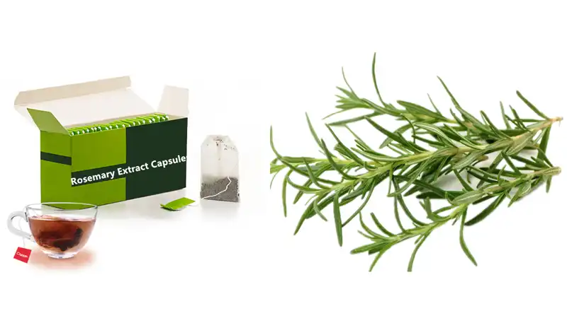 Best Rosemary Tea