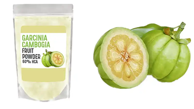 Garcinia Cambogia Extract Powder Garcinia Cambogia Extract Powder