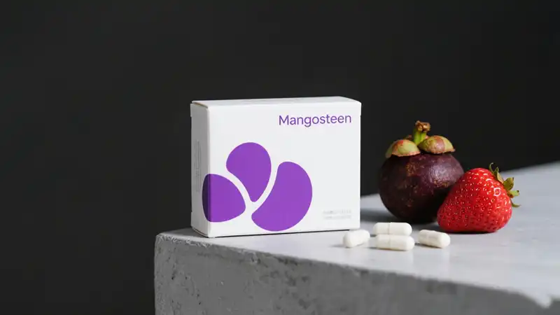 Mangosteen Tea Bags