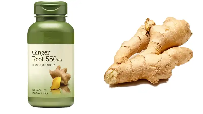 Ginger Powder Capsules Ginger Powder Capsules
