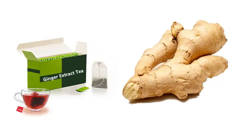Ginger Extract Tea Ginger Extract Tea