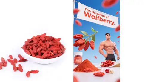 Wolfberry Wolfberry