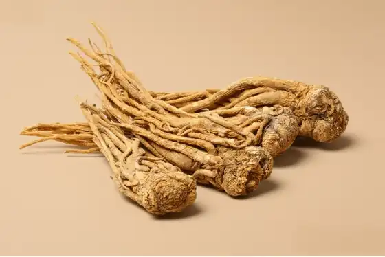 Angelica Sinensis Angelica Sinensis