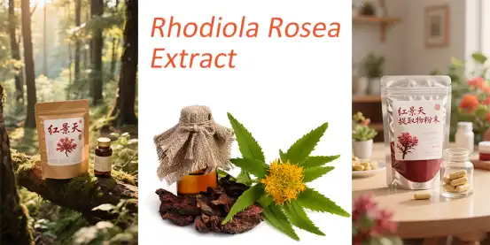 Rhodiola Rosea Extract Powder Rhodiola Rosea Extract Powder