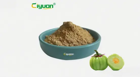 Garcinia Cambogia Extract Tablets