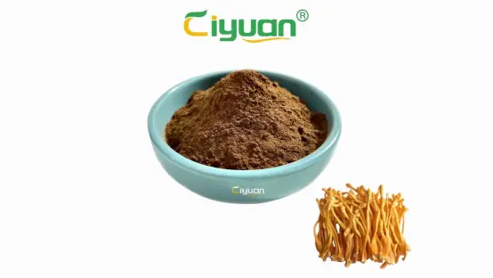 Cordyceps Militaris Tablets Cordyceps Militaris Tablets