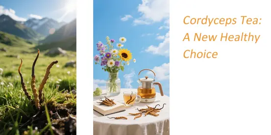 https://www.cysupplement.com/tea/cordyceps-militaris-tea