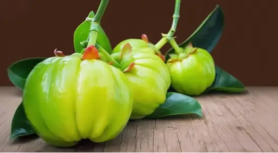 Garcinia Cambogia Extract Tablets