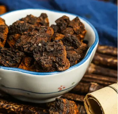Chaga mushroom tablets