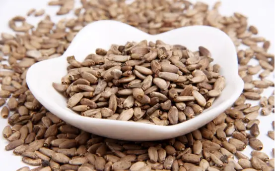 Milk Thistle Extract Tablets