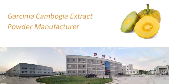 Garcinia Cambogia Extract Tablets 