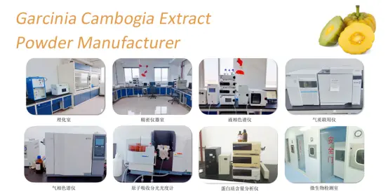 Garcinia Cambogia Extract Tablets 